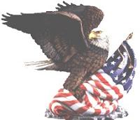Flag and eagle